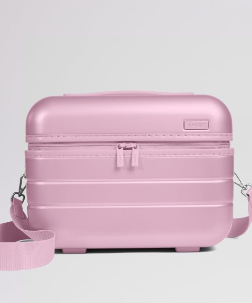 The Train Case in Glacial Pink