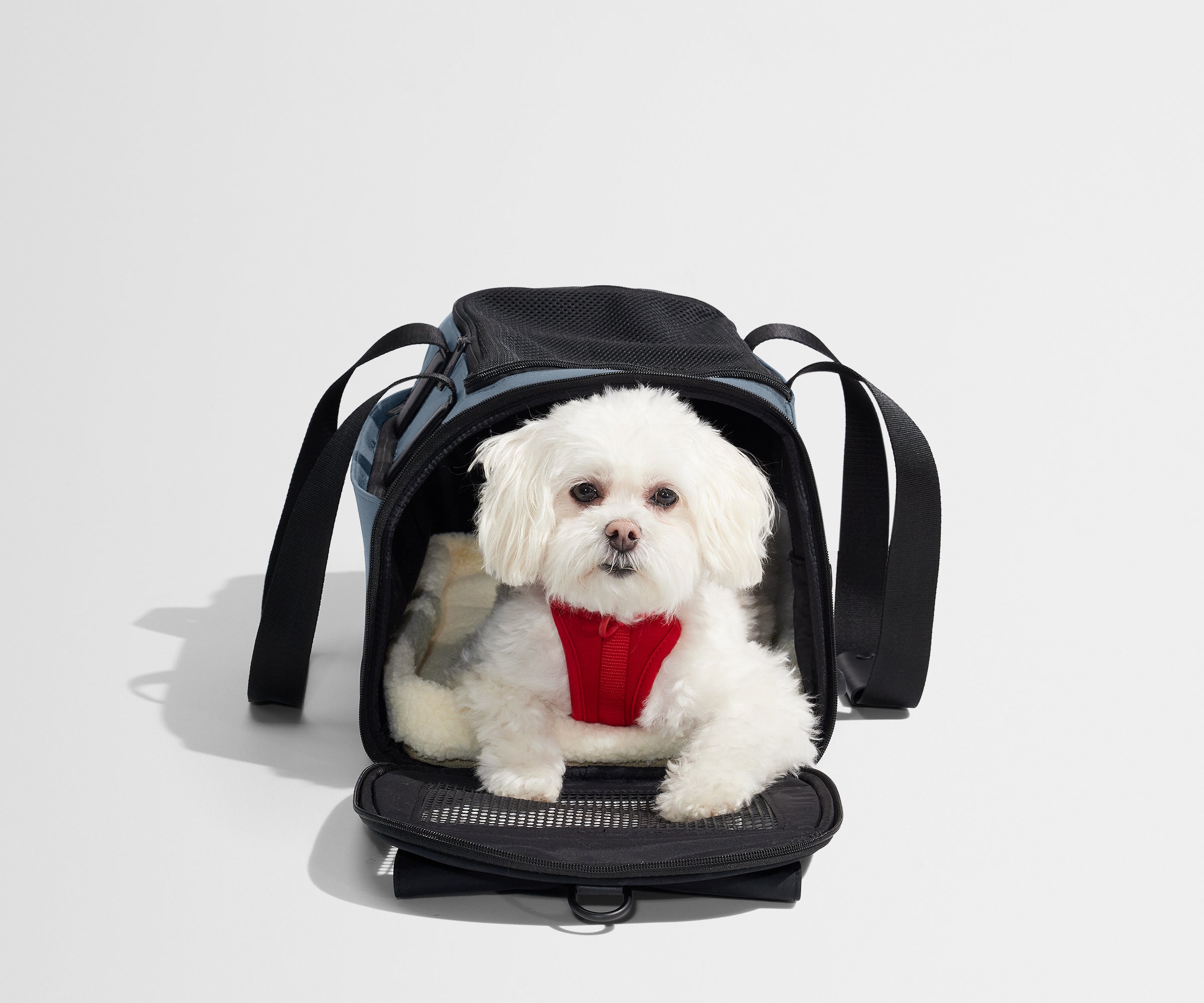 PDP_PetCarrier_Coast_04.jpg