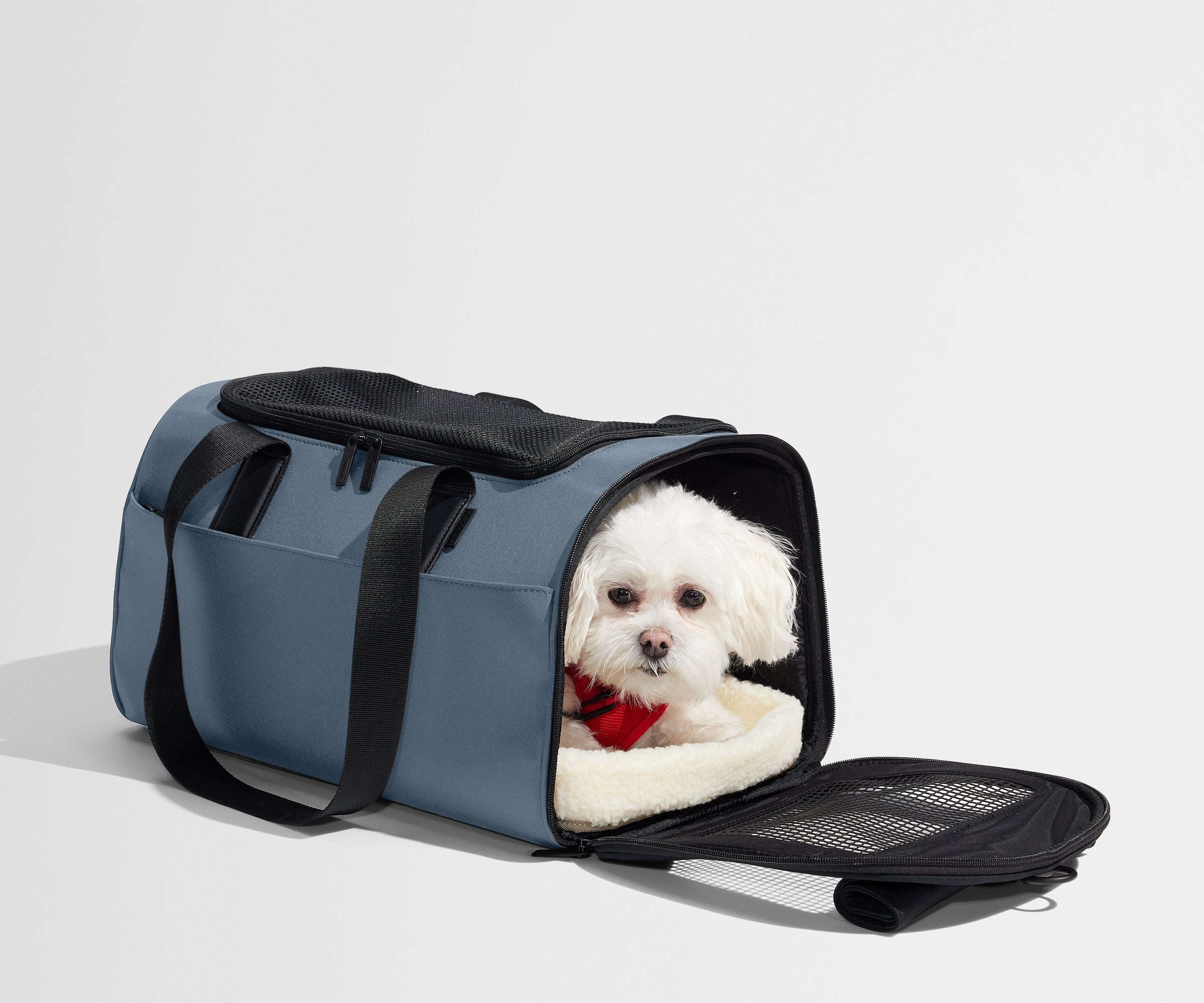 PDP_PetCarrier_Coast_05.jpg