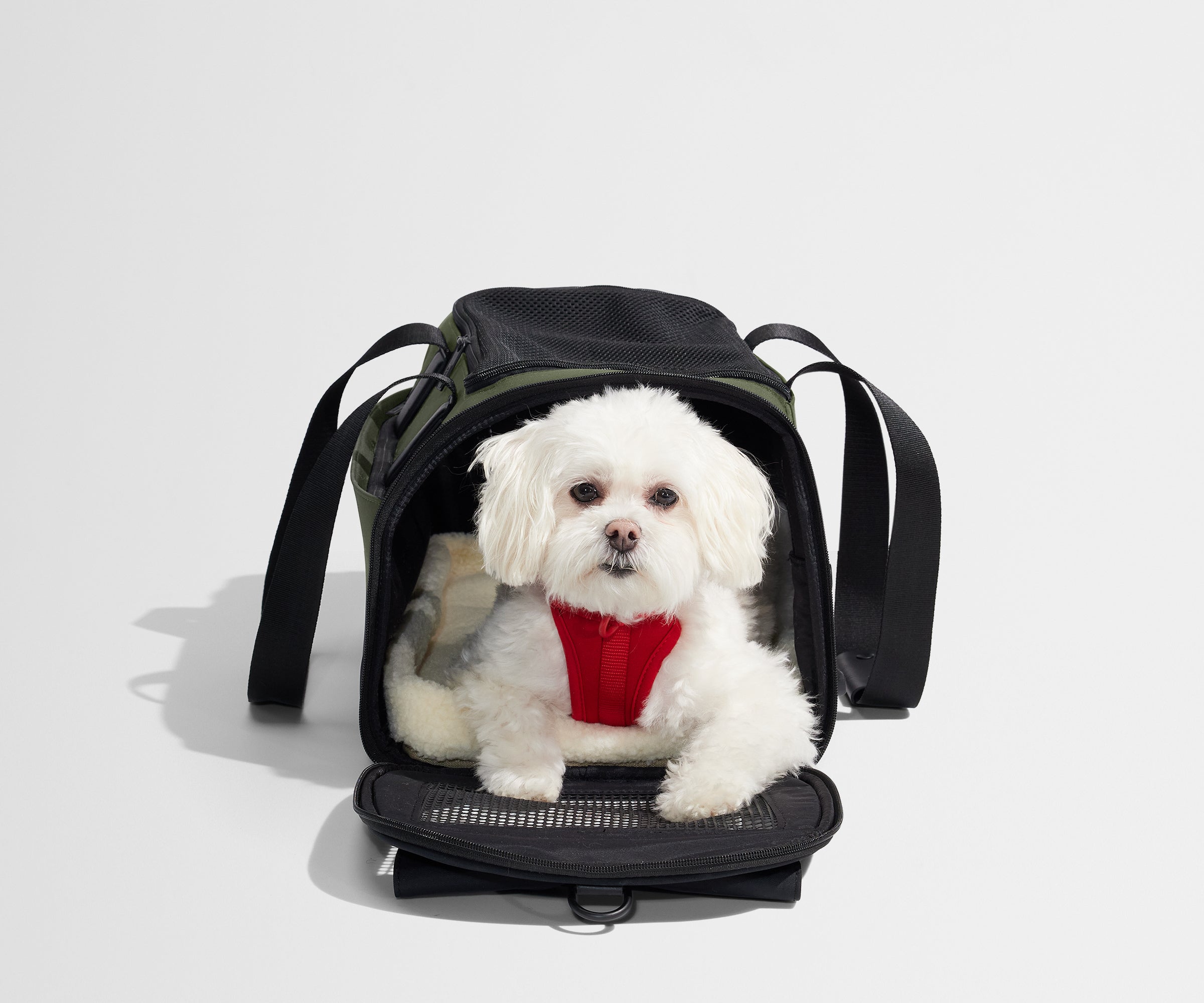 PDP_PetCarrier_Olive_04.jpg